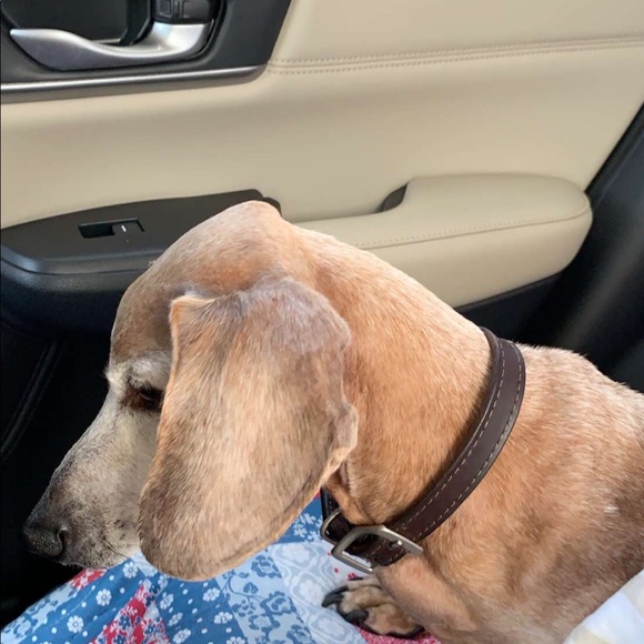 Meet your Posher, Kris - Picture 3 of 3